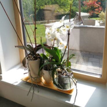 Internorm HF310 timber/alu windows in custom built home