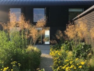 105939356_742934189794500_6021776677907881853_n