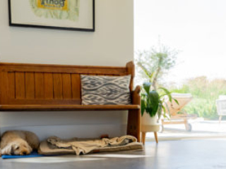 grain-barn-static-5 Kastrup Windows with Dog and View